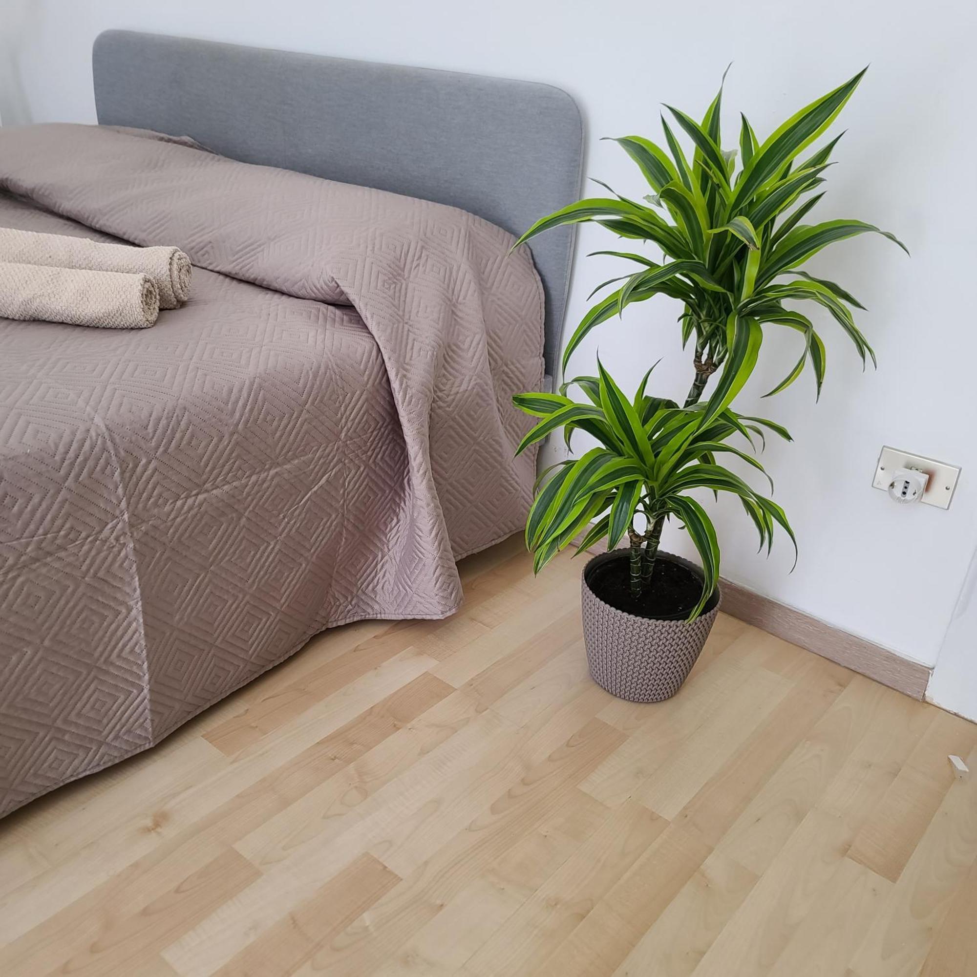 Mariamora Apartment 바리 외부 사진