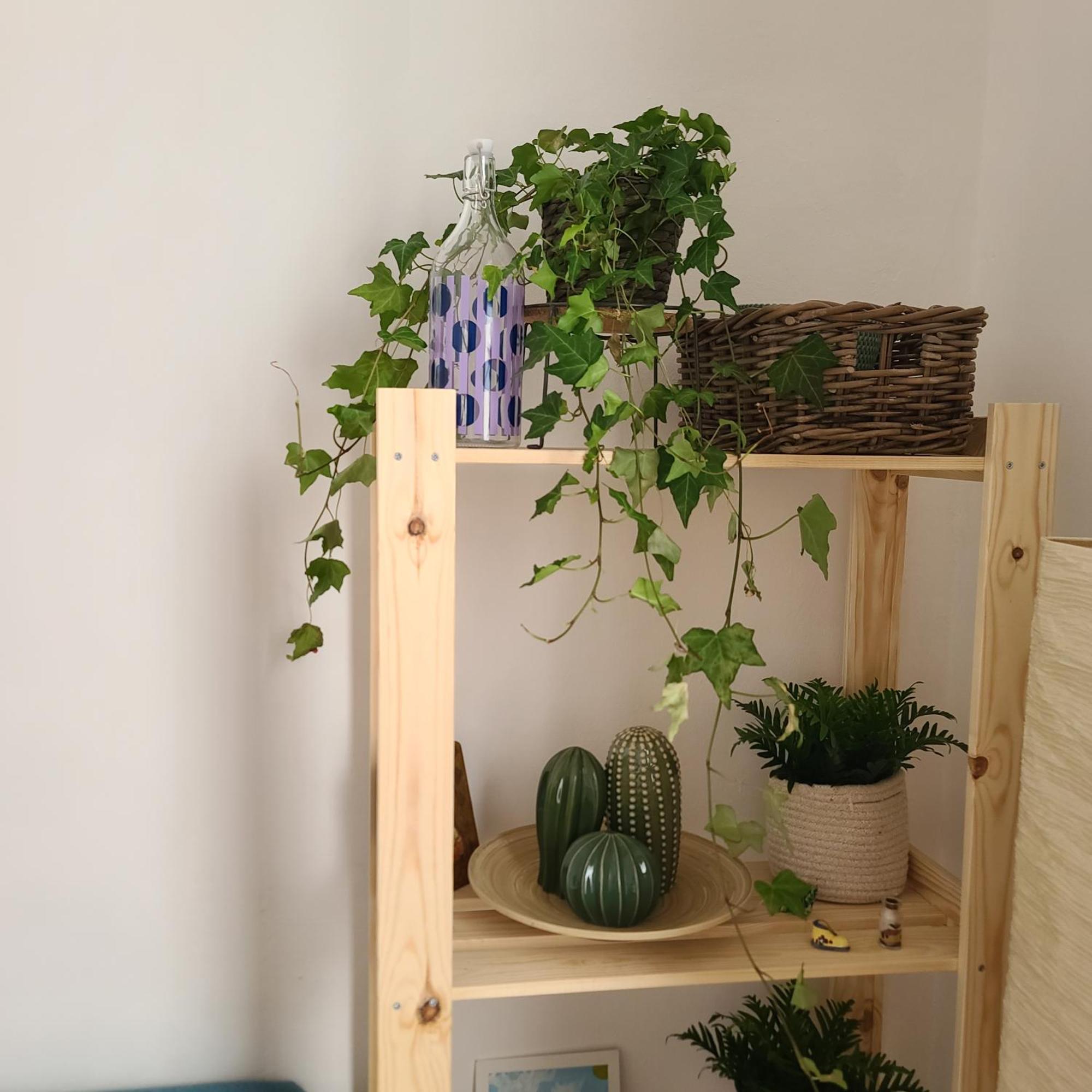 Mariamora Apartment 바리 외부 사진
